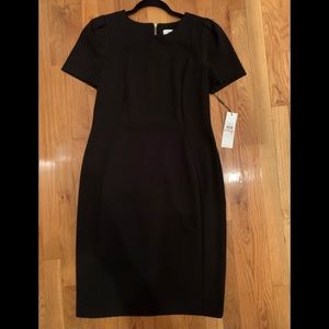NWT Calvin Klein Dress